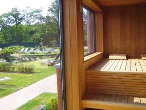 Panoramische sauna          